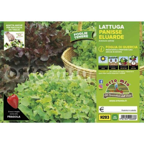 Lattuga foglia di quercia mix "Panisse/Eluarde"