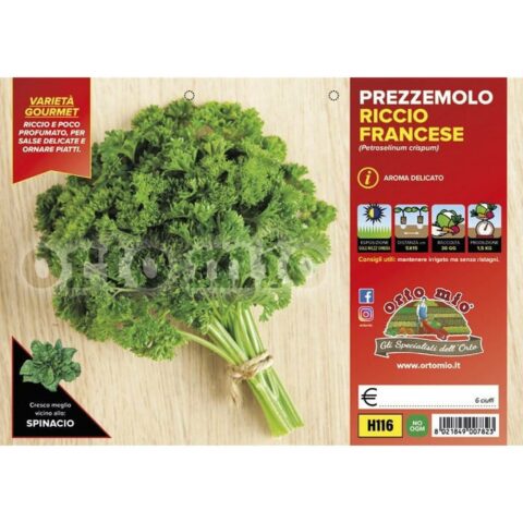 Prezzemolo riccio francese "Petra"