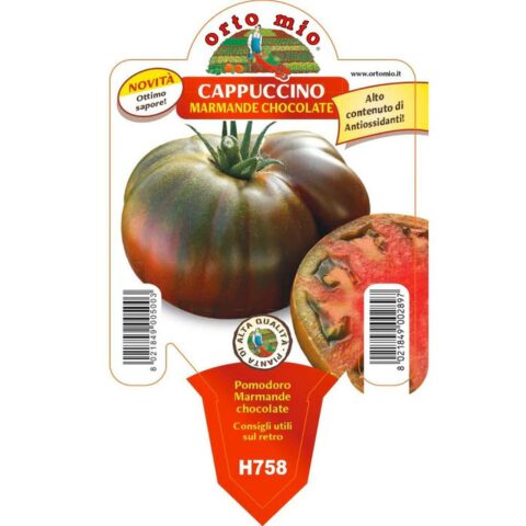 Pomodoro Costoluto Marmande chocolate "Cappuccino F1"