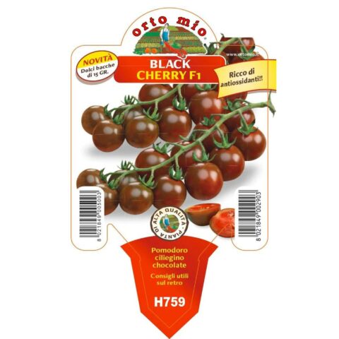 Pomodoro ciliegino "Luther F1" (ex Black Cherry)