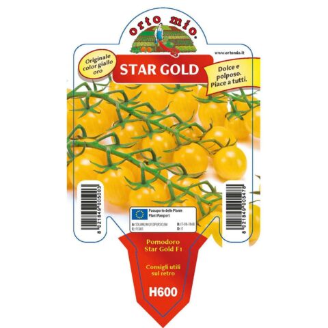 Pomodoro a Ciliegia "Goldwin F1" (ex Star Gold)