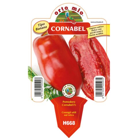 Pomodoro Corno delle Ande "Bellandine F1" (ex Cornabel)