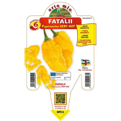Peperoncino piccante "Fatalii"