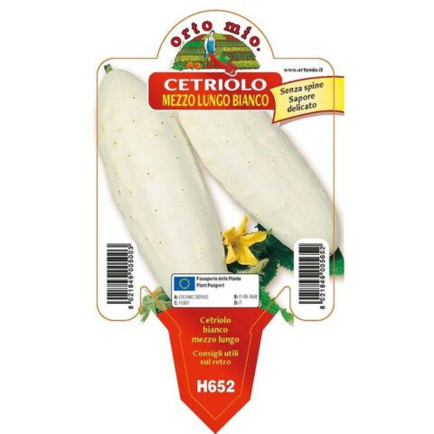 Cetriolo bianco mezzo lungo "White Wonder F1"
