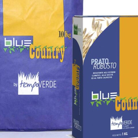 Blue Country (Semente)
