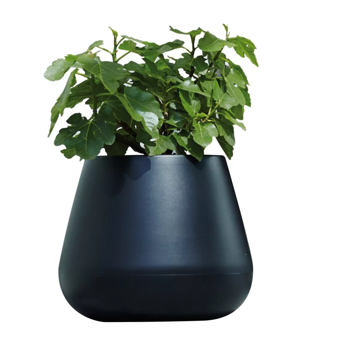 Vaso PURE CONE Elho