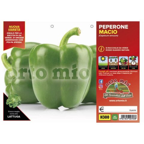 Peperone verde "Macio F1"