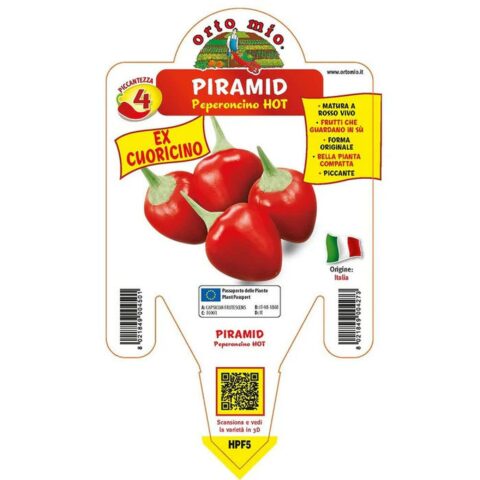 Peperoncino piccante "Piramid" (ex Cuoricino)