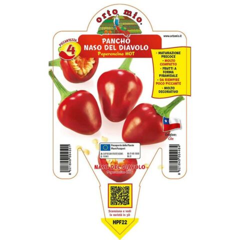 Peperoncino piccante "Pancho Naso del Diavolo"
