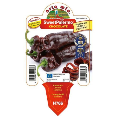 Peperone Sweet Palermo Chocolate