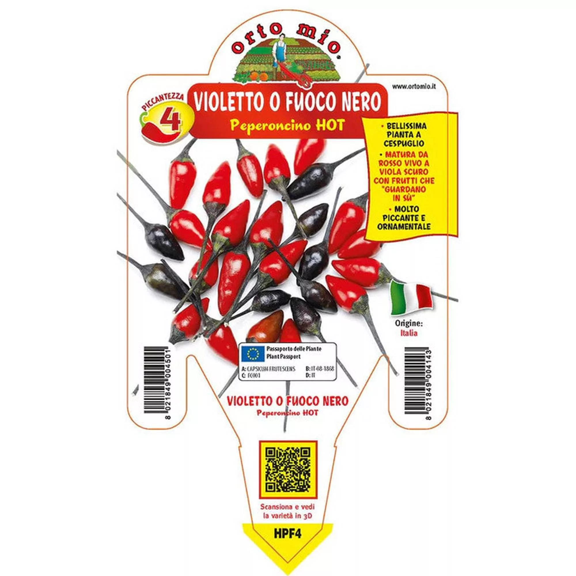 Peperoncino piccante "Violetto o Fuoco Nero"
