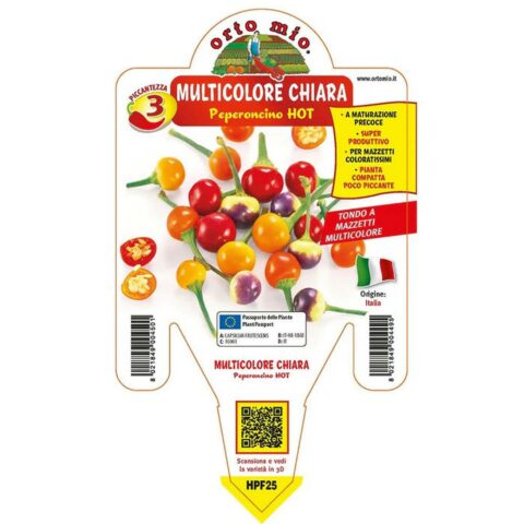 Peperoncino piccante multicolore tondo "Chiara"