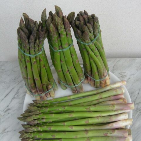 AsparagoVerde