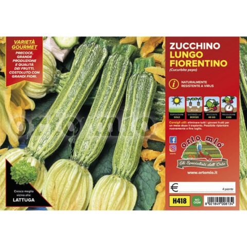 Zucchino Lungo fiorentino "Tirreno F1"