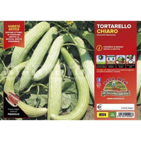 Cetriolo Tortarello chiaro