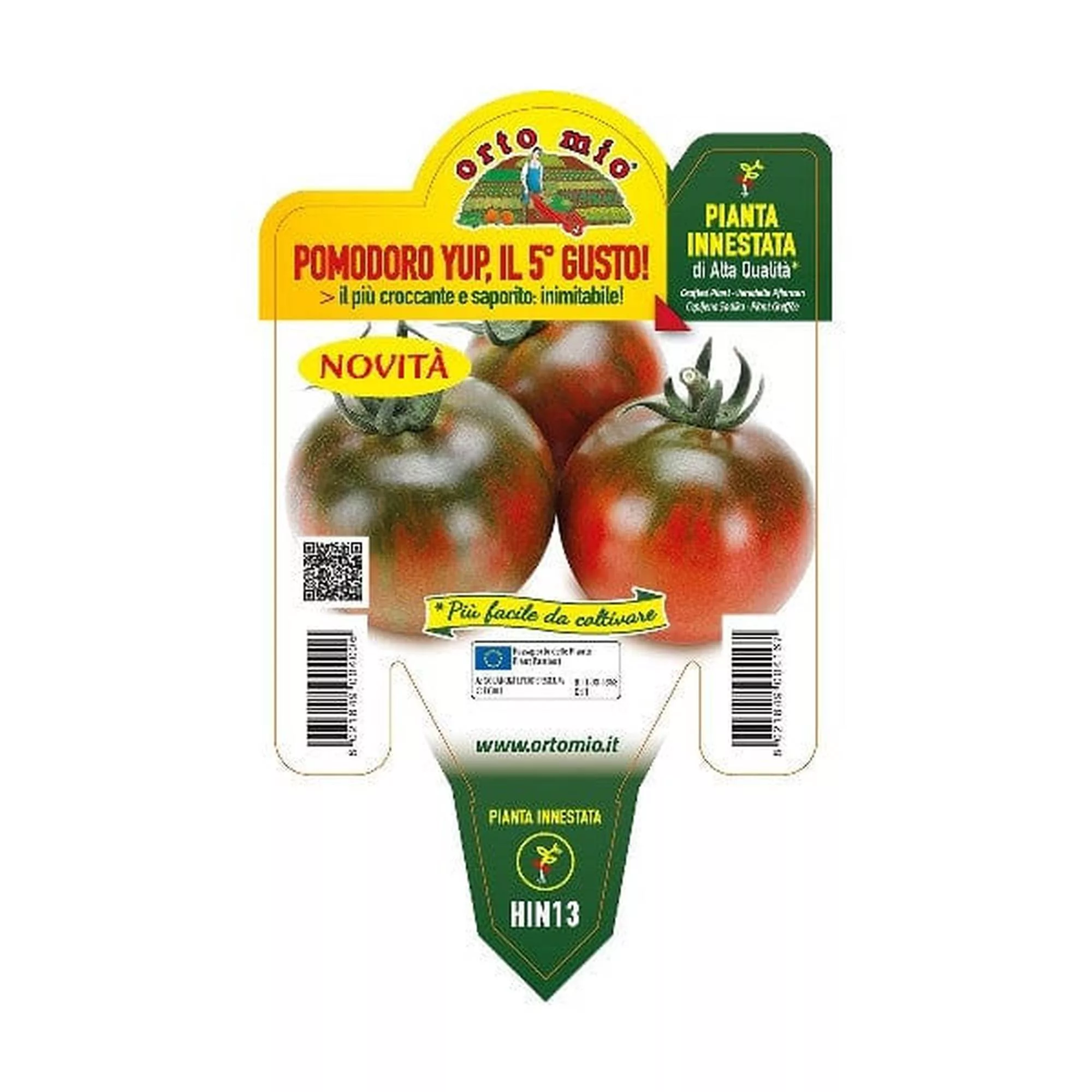 Pomodoro Sardo "Yup F1" innestato