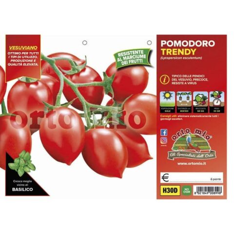 Pomodoro da appendere vesuviano "Trendy F1"
