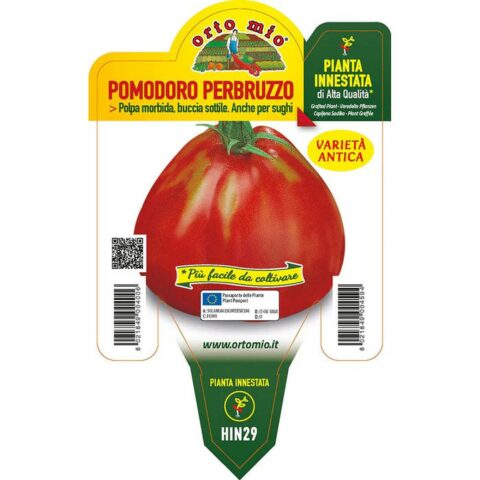 Pomodoro Abruzzese Perbruzzo "Deko F1" innestato