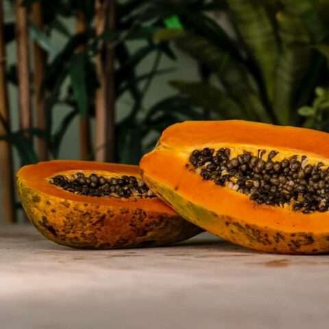 Carica papaya "Intenzza"