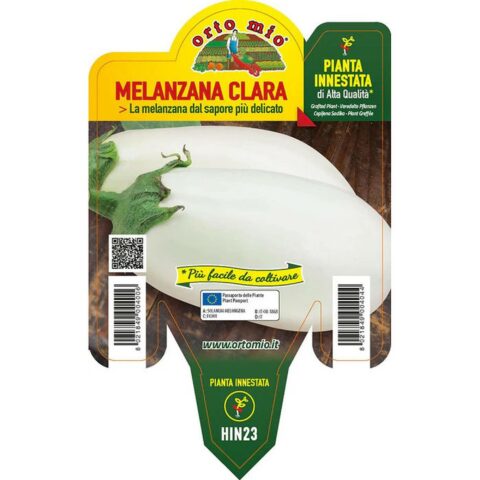Melanzana bianca "Clara F1" innestata