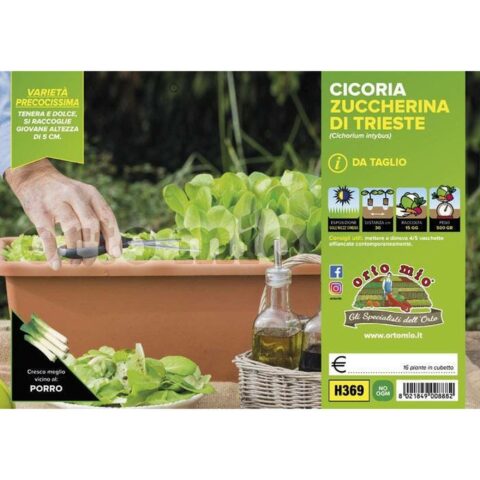 Cicoria e Radicchio da taglio Zuccherina di Trieste