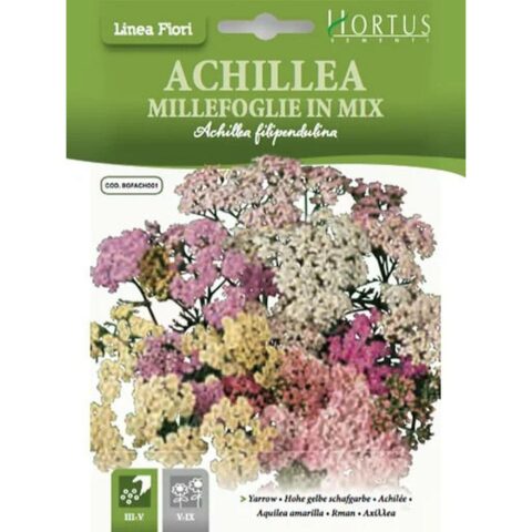 Achillea millefoglie in mix (Semente)