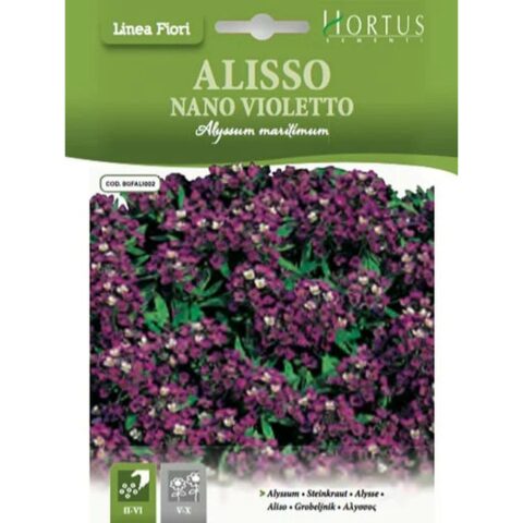 Alisso nano Violetto (Semente)