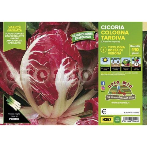Cicoria e RadicchioRosso di Veronatardivo "Cologna"