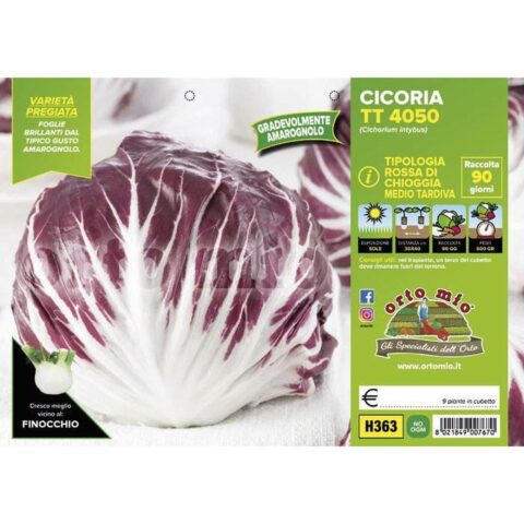 Cicoria e Radicchio Rosso di Chioggia "TT 4050"