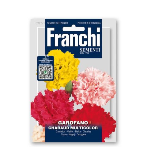 Garofano chabaud multicolor (Semente)