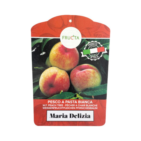 Pesco "Maria Delizia"