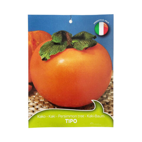 Kaki "Tipo"
