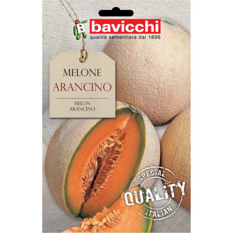 Melone Arancino (Semente)