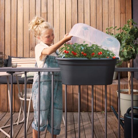 Vaso fioriera da coltivazione GREEN BASICS BALCONY GROW SET - Elho
