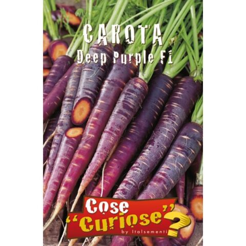 Carota viola "Deep Purple F1" (Semente)