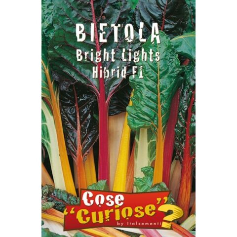 Bietola "Bright Lights Hybrid F1" (Semente)