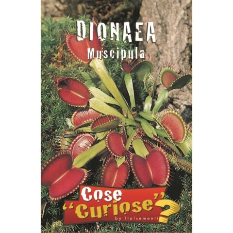 Dionaea muscipula (Semente)