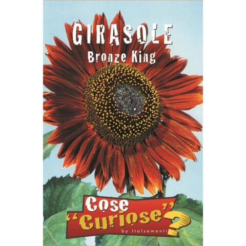 Girasole Bronce King (Semente)