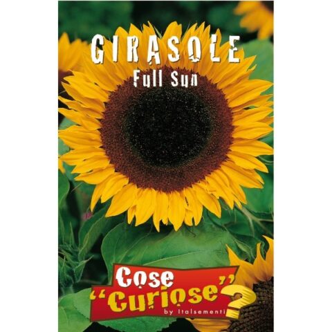 Girasole Full Sun (Semente)
