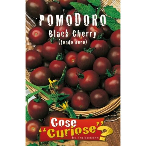 Pomodoro Black Cherry (Semente)