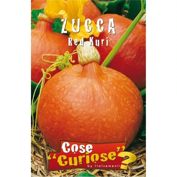 Zucca dolce "Red Kuri" (Semente)