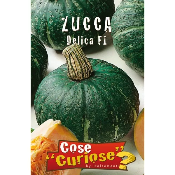 Zucca tonda "Delica F1" (Semente)