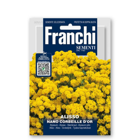 Alisso nano Giallo (Semente)