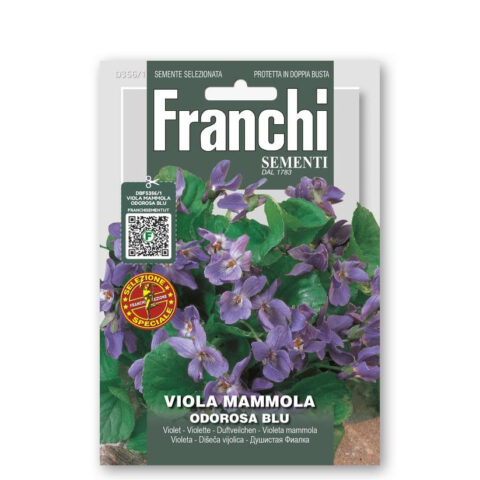 Viola mammola (Semente)