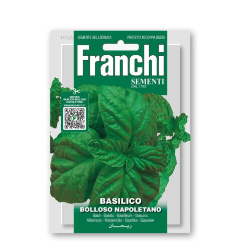 Basilico gigante Bolloso napoletano (Semente)