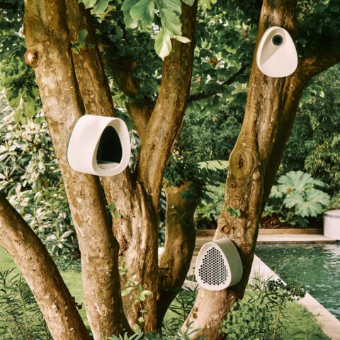 ESSENTIAL BEE HOTEL - Elho