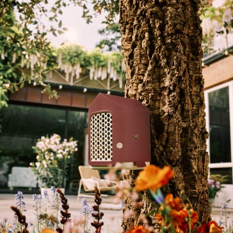 COSY INSECT HOTEL - Elho