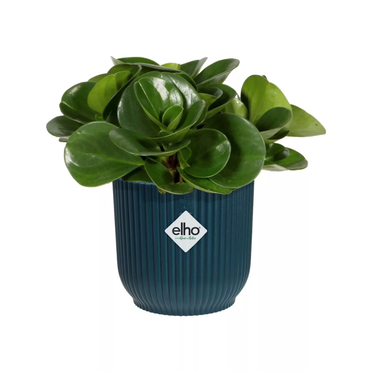 Vaso VIBES FOLD ROUND MINI Elho