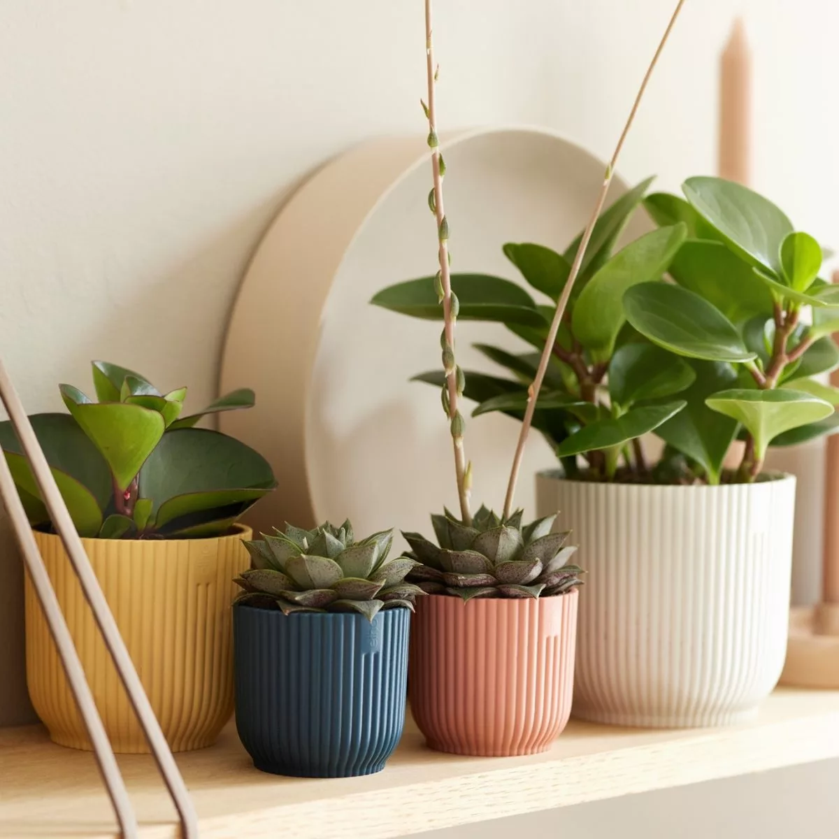Vaso VIBES FOLD ROUND MINI Elho