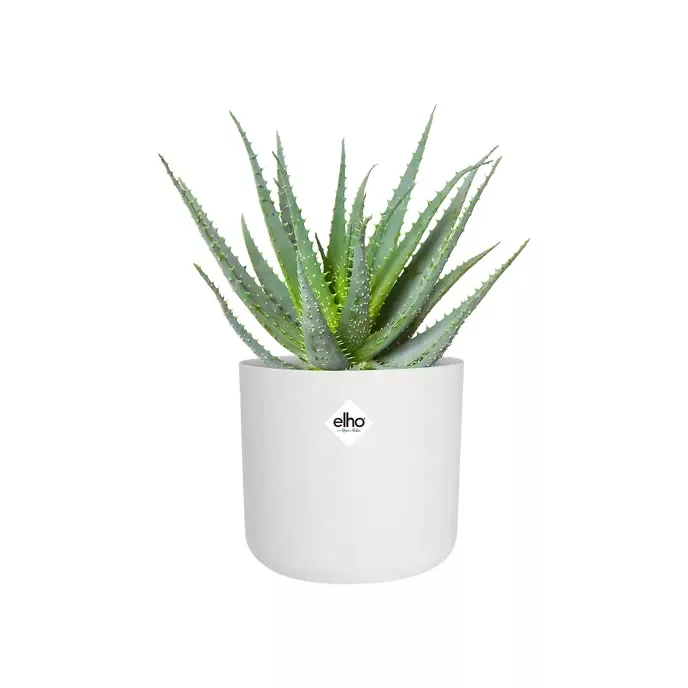 Vaso B.FOR SOFT ROUND - Elho